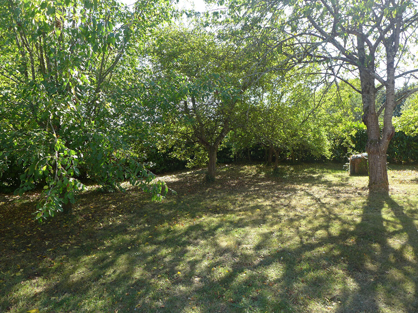 Maison 5 pièces 58 m² à vendre à Romillé - photo 12